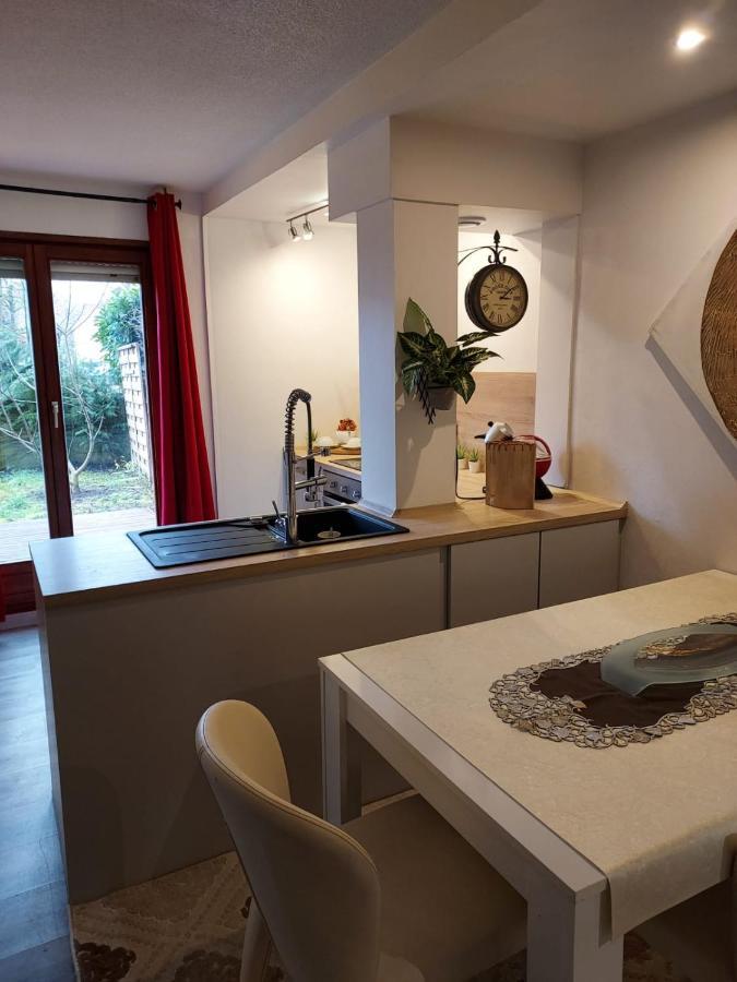Residence Du Vieux Chateau Jardin & Parking Gratuit Mulhouse Kültér fotó