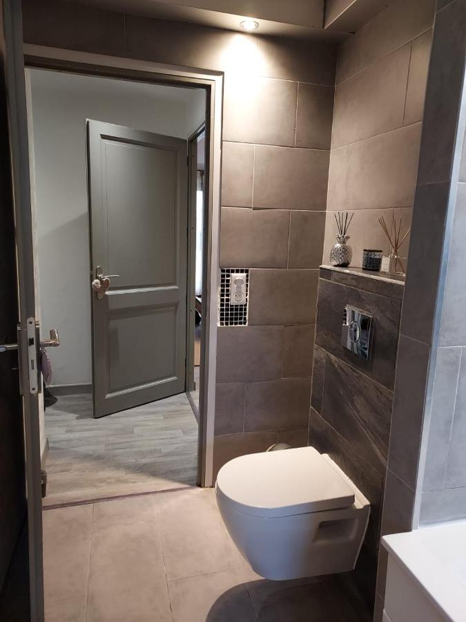 Residence Du Vieux Chateau Jardin & Parking Gratuit Mulhouse Kültér fotó