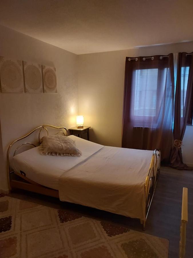 Residence Du Vieux Chateau Jardin & Parking Gratuit Mulhouse Kültér fotó
