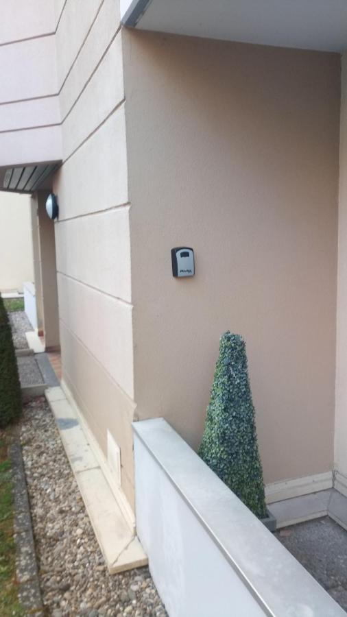 Residence Du Vieux Chateau Jardin & Parking Gratuit Mulhouse Kültér fotó